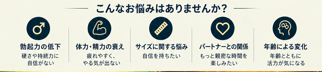 こんなお悩みはありませんか？ 勃起力の低下、体力・精力の衰え、サイズに関する悩み、パートナーとの関係、年齢による変化